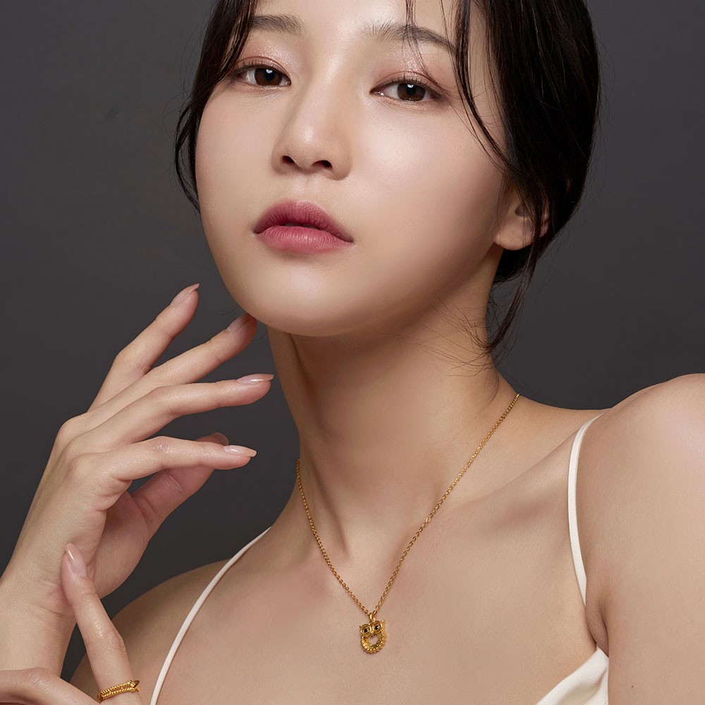 써클 부엉이 코인 목걸이 요약정보 및 구매